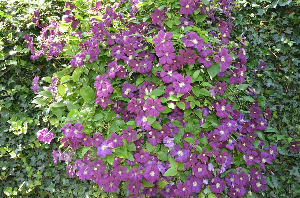 Birdaard Bloemenhoeve B&B 외부 사진