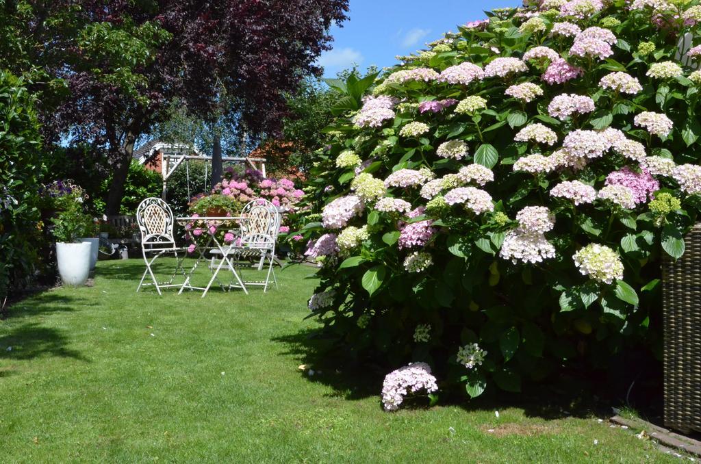 Birdaard Bloemenhoeve B&B 외부 사진